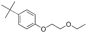 54889-97-3